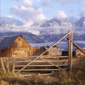 Meet your Posher, Freya